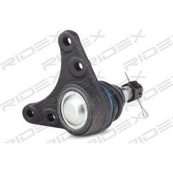 Šarnyras
                                RIDEX                                2462S0376, Nenurodytas gamintojas, 2462S0376, 