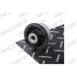 sailentblokas
                                RIDEX                                                251T0336, Nenurodytas gami