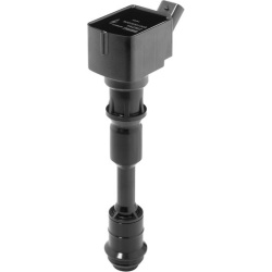 Ritė uždegimo babina
                                BorgWarner (BERU)                                                ZSE29