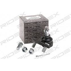 Šarnyras
                                RIDEX                                2462S0016, Nenurodytas gamintojas, 2462S0016, 