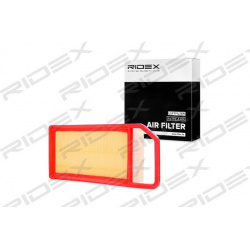 oro filtras
                                RIDEX                                                8A0199, Nenurodytas gamintoj