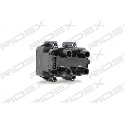 ritė, uždegimas
                                RIDEX                                                689C0063, Nenurodytas 