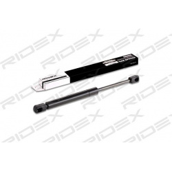 dujinė spyruoklė, bagažinė
                                RIDEX                                                219G0297,