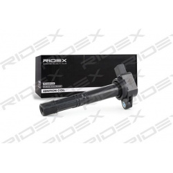 ritė, uždegimas
                                RIDEX                                                689C0026, Nenurodytas 