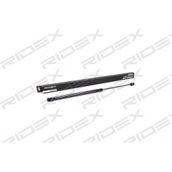 RIDEX                                                219G0100, Nenurodytas gamintojas, 219G0100, auto detalė