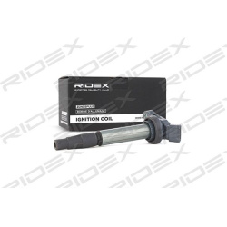 ritė, uždegimas
                                RIDEX                                689C0107, Nenurodytas gamintojas, 689C