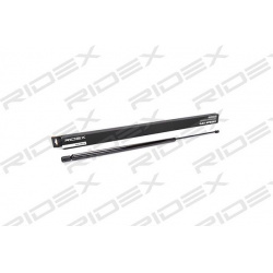 RIDEX                                                219G0104, Nenurodytas gamintojas, 219G0104, auto detalė