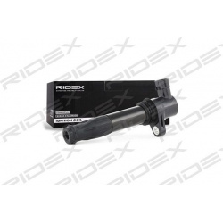 ritė, uždegimas
                                RIDEX                                                689C0260, Nenurodytas 