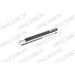 dujinė spyruoklė, bagažinė
                                RIDEX                                219G0130, Nenurodytas gam