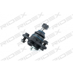 Šarnyras
                                RIDEX                                2462S0048, Nenurodytas gamintojas, 2462S0048, 