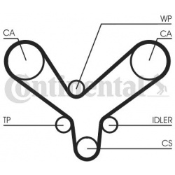 paskirstymo diržas
                                CONTINENTAL CTAM                                                CT1175, C