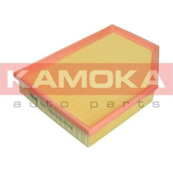 Filtras oro
                                KAMOKA                                F250601, KAMOKA, F250601, auto detalė