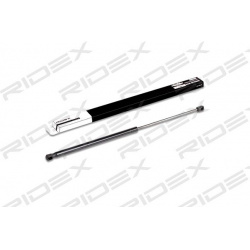 dujinė spyruoklė, bagažinė
                                RIDEX                                219G0200, Nenurodytas gam