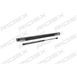 dujinė spyruoklė, bagažinė
                                RIDEX                                                219G0091,