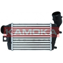 tarpinis suslėgto oro aušintuvas, kompresorius
                                KAMOKA                                775004