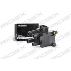ritė, uždegimas
                                RIDEX                                                689C0007, Nenurodytas 