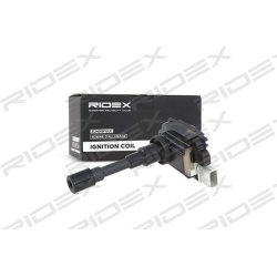 ritė, uždegimas
                                RIDEX                                                689C0039, Nenurodytas 