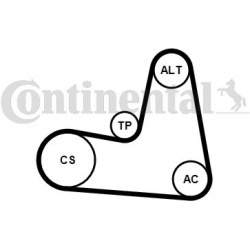V formos rumbuotas diržas, komplektas
                                CONTINENTAL CTAM                                      
