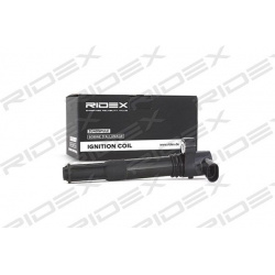 ritė, uždegimas
                                RIDEX                                                689C0009, Nenurodytas 