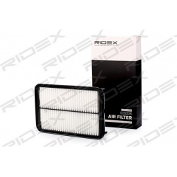 oro filtras
                                RIDEX                                                8A0196, Nenurodytas gamintoj