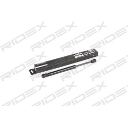 RIDEX                                                219G0081, Nenurodytas gamintojas, 219G0081, auto detalė