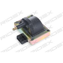 ritė, uždegimas
                                RIDEX                                689C0308, Nenurodytas gamintojas, 689C