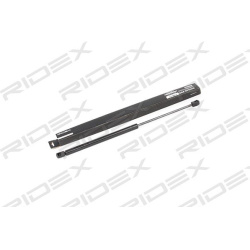 dujinė spyruoklė, gaubtas
                                RIDEX                                                514G0044, Ne