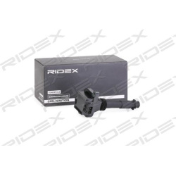 Ritė, uždegimas
                                RIDEX                                                689C0306, Nenurodytas 