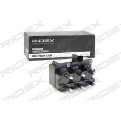 ritė, uždegimas
                                RIDEX                                                689C0201, Nenurodytas 