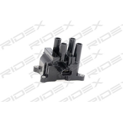 ritė, uždegimas
                                RIDEX                                                689C0110, Nenurodytas 