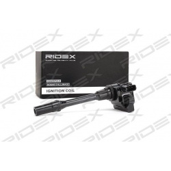 ritė, uždegimas
                                RIDEX                                689C0204, Nenurodytas gamintojas, 689C
