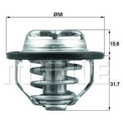Termostatas
                                MAHLE                                                TX12282, MAHLE, TX12282, aut