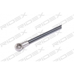 dujinė spyruoklė, bagažinė
                                RIDEX                                219G0699, Nenurodytas gam