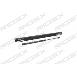 dujinė spyruoklė, bagažinė
                                RIDEX                                                219G0107,