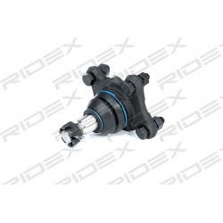 Šarnyras
                                RIDEX                                                2462S0101, Nenurodytas gaminto