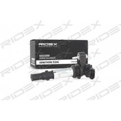 ritė, uždegimas
                                RIDEX                                                689C0018, Nenurodytas 