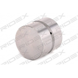 svirtis/kumštelis
                                RIDEX                                1216R0037, Nenurodytas gamintojas, 12