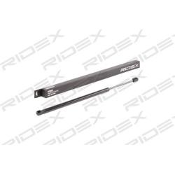 dujinė spyruoklė, bagažinė
                                RIDEX                                                219G0804,