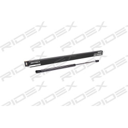 dujinė spyruoklė, bagažinė
                                RIDEX                                                219G0161,