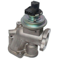 ERG vožtuvas
                                MAGNETI MARELLI                                                571822112117, MA