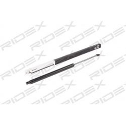 dujinė spyruoklė, bagažinė
                                RIDEX                                                219G0691,