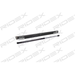 dujinė spyruoklė, bagažinė
                                RIDEX                                                219G0011,