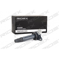 ritė, uždegimas
                                RIDEX                                689C0114, Nenurodytas gamintojas, 689C