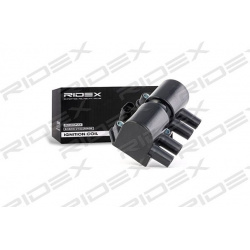 ritė, uždegimas
                                RIDEX                                                689C0066, Nenurodytas 