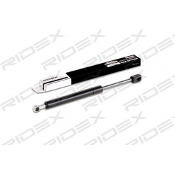 dujinė spyruoklė, bagažinė
                                RIDEX                                                219G0080,