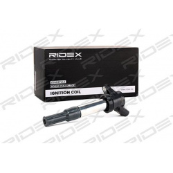 ritė, uždegimas
RIDEX 689C0084, Nenurodytas