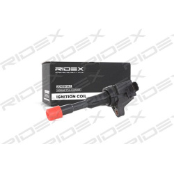 ritė, uždegimas
RIDEX 689C0136, Nenurodytas