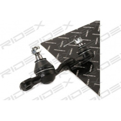 Šarnyras
                                RIDEX                                                2462S0352, Nenurodytas gaminto