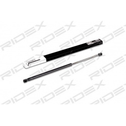 dujinė spyruoklė, bagažinė
                                RIDEX                                                219G0110,