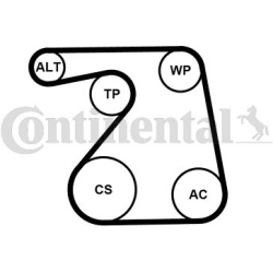 V formos rumbuotas diržas, komplektas
CONTINENTAL CTAM